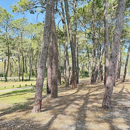 Maison De Plain-pied Avec Wi-fi, Proche - Fr-1-831-10