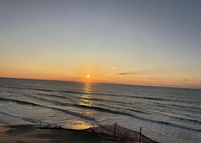 Semesterbostad Maison De Plain-pied Avec Wi-fi, Proche - Fr-1-831-10 Biscarrosse